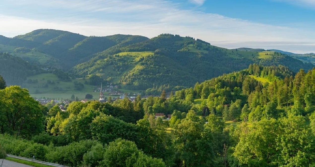 Böceklere Yasal Haklar Verildi: Peru’da Mahkemede Temsil Edilebilecekler