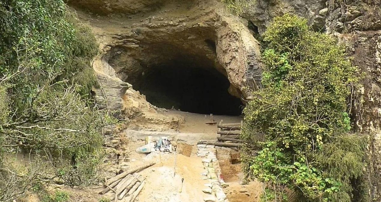 Ormanın Derinliklerinde Keşfedilen Tarihi Hazine: Mağara Girişleri Kapatıldı