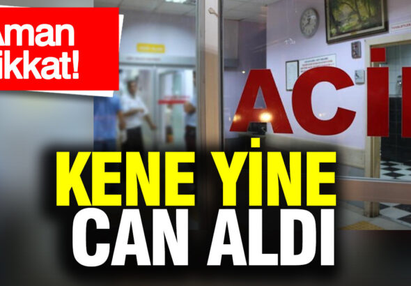 aman-dikkat-kene-yine-can-aldi-eMtjIMLI
