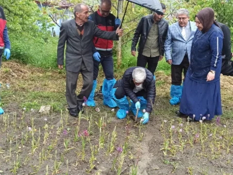 Doğa Yürüyüşüyle Başlayan Girişim: Salep Yetiştiriciliği ile Ekonomik Başarı