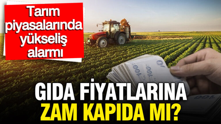el-nino-gida-fiyatlarini-yukseltecek-mi-tarim-piyasalarinda-zam-alarmi-zta1bNyb