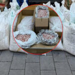 zehir-sebekesine-tarihi-darbe-12-milyon-uyusturucu-hap-ele-gecirildi-WApSgWFp