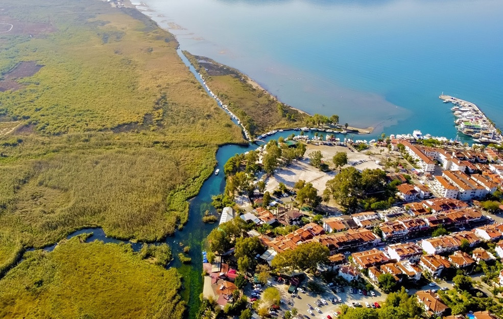 Img